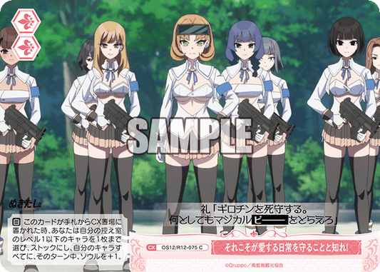 それこそが愛する日常を守ることと知れ！(C)(OS12/R12-075)