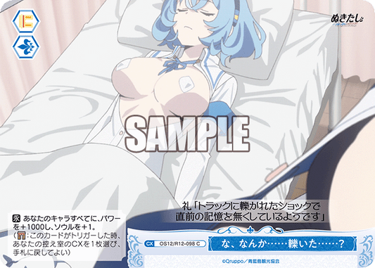 な、なんか……轢いた……？(C)(OS12/R12-098)