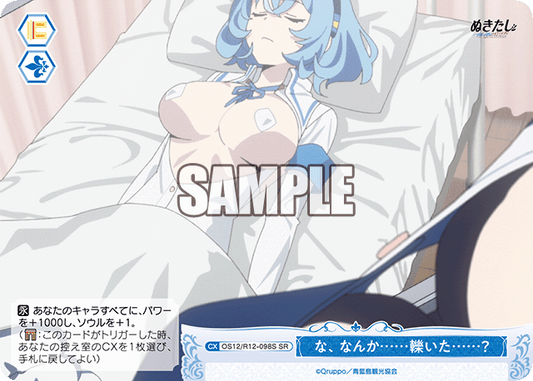 な、なんか……轢いた……？(SR)(OS12/R12-098S)