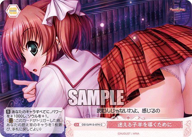 迷える子羊を導くために(C)(OS13/R13-074)