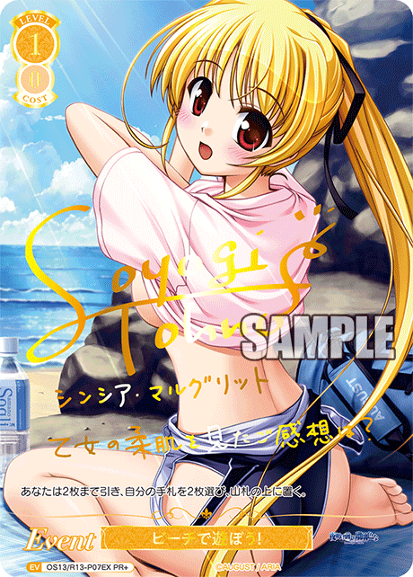 ビーチで遊ぼう！(PR+)(OS13/R13-P07EX)