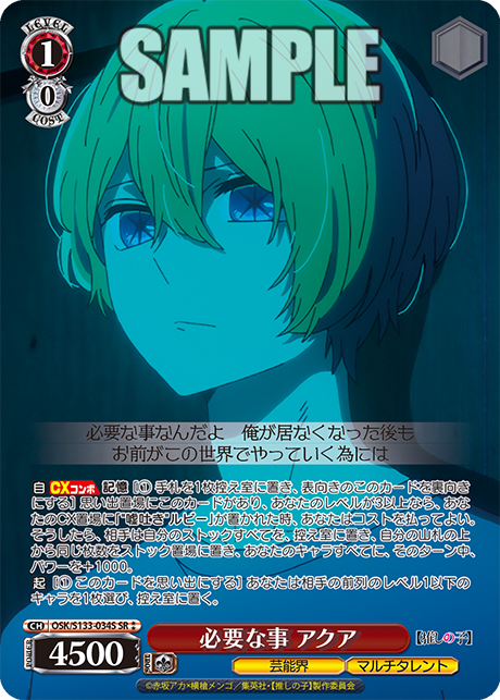 必要な事 アクア(SR⁑)(OSK/S133-034S)