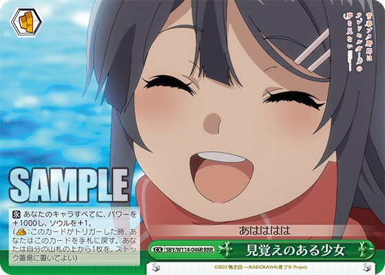 見覚えのある少女(RRR)