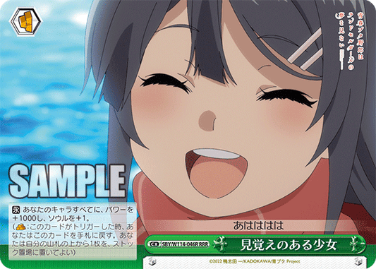 見覚えのある少女(RRR)