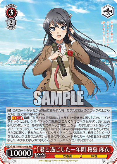 君と過ごした一年間 桜島 麻衣(RR)