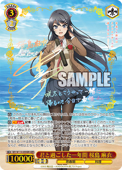 君と過ごした一年間 桜島 麻衣(ABR)