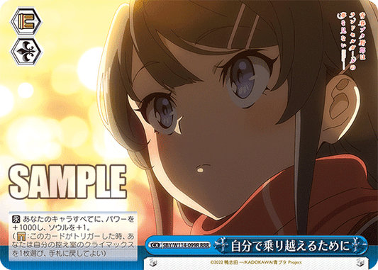 自分で乗り越えるために(RRR)
