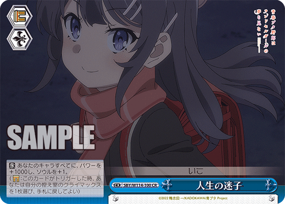 人生の迷子(CR)