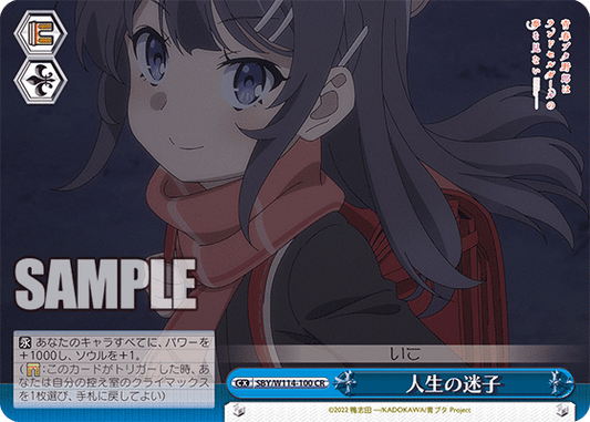 人生の迷子(CR)