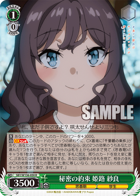 秘密の約束 姫路 紗良(R)