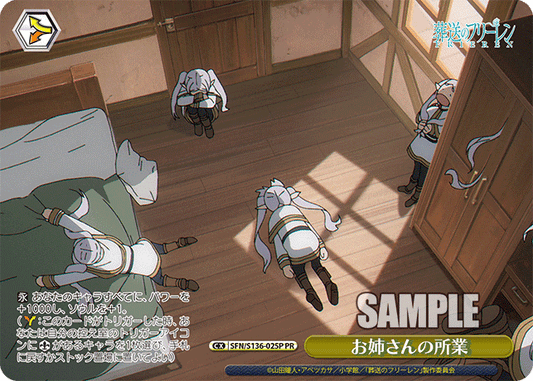 お姉さんの所業(PR)(SFN/S136-025P)