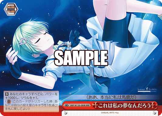 これは私の夢なんだろう(RRR)