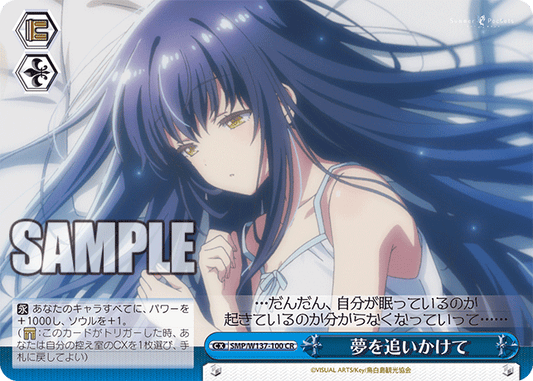 夢を追いかけて(CR)(SMP/W137-100)