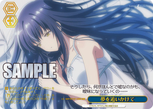 夢を追いかけて(RRR)(SMP/W137-100R)