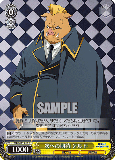 次への期待 ゲルド(C)