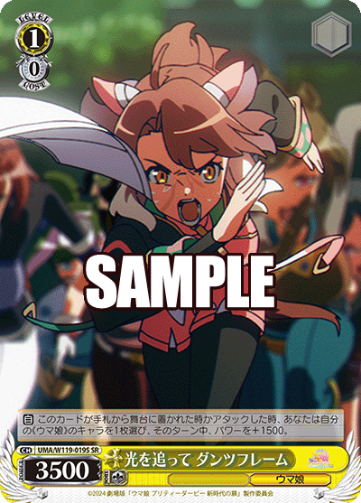 光を追って ダンツフレーム(SR)