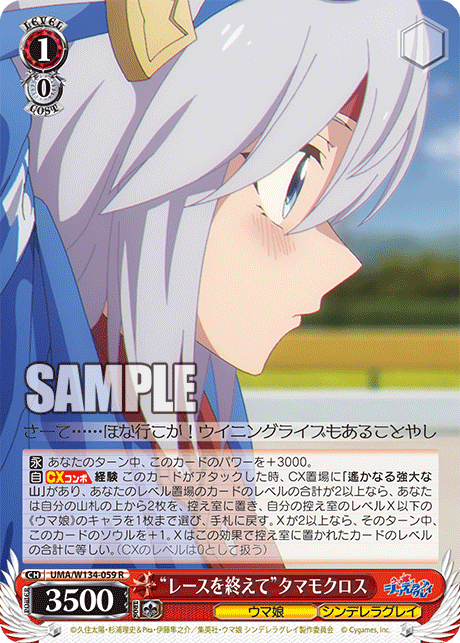 “レースを終えて”タマモクロス(R)