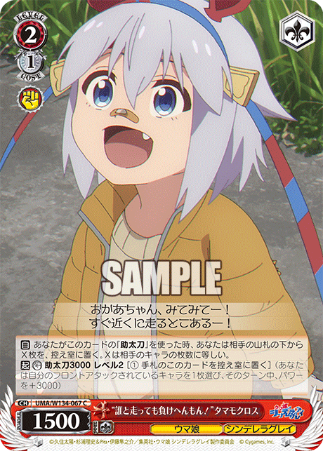 “誰と走っても負けへんもん！”タマモクロス(C)
