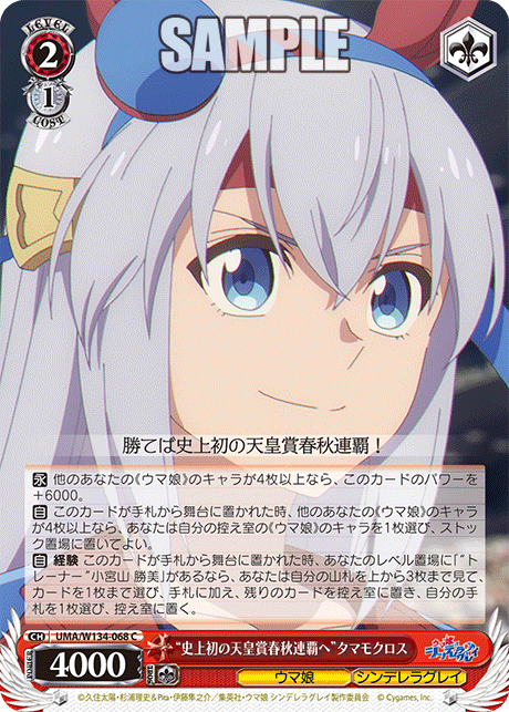 “史上初の天皇賞春秋連覇へ”タマモクロス(C)